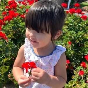 Meet your Posher, Linh